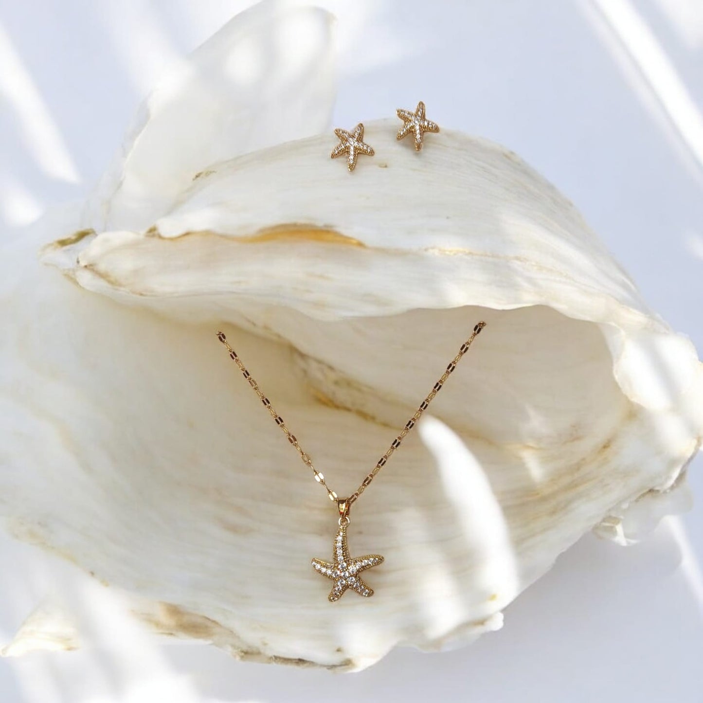 Set fino dama estrella de mar