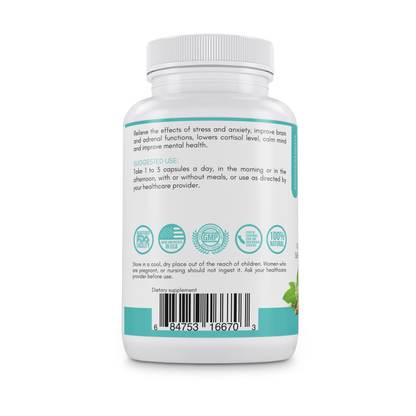 Relax & Focus / Remedio para la ansiedad🤲